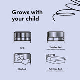 morningside crib 4 conversions drawing
