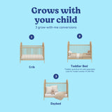 Olivia driftwood crib conversions callout