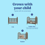 Olivia hazelnut crib conversions callout