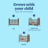 Olivia hazelnut crib conversions callout