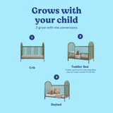 Olivia olive crib conversions callout