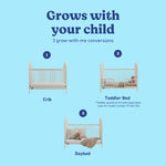 Olivia frosted oat crib conversions callout