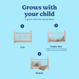 Olivia frosted oat crib conversions callout