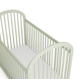 Olivia sage crib top view