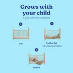 Olivia sage crib conversions callout