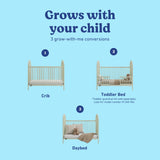 Olivia sage crib conversions callout