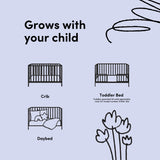 Equinox crib conversions callout