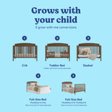 Benton hazelnut crib conversions callout