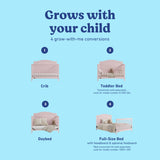 Paris blush crib shown in all 4 conversions