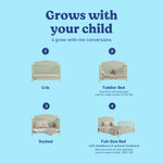 Paris sage crib shown in all 4 conversions