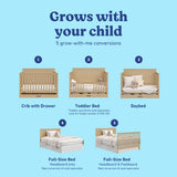 Tristan driftwood crib with drawer shown in all 5 conversions