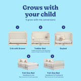 Tristan frosted oat crib with drawer shown in all 5 conversions