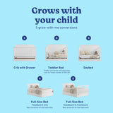 Sasha white crib with drawer shown in all 5 conversions