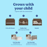 Sasha hazelnut crib with drawer shown in all 5 conversions