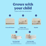 Sasha frosted oat crib with drawer shown in all 5 conversions