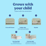 Sasha sage crib with drawer shown in all 5 conversions
