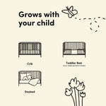 Sicily crib conversions callout