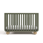 Front view of Amalfi olive with driftwood crib