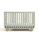 Front view of Amalfi sage with driftwood crib