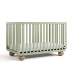 Angle view of Amalfi sage with driftwood crib