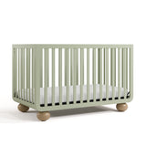 Angle view of Amalfi sage with driftwood crib