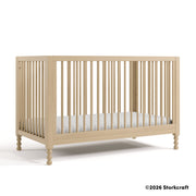 Rio™ Deluxe 5-in-1 Convertible Crib with Bonus Toddler Guardrail